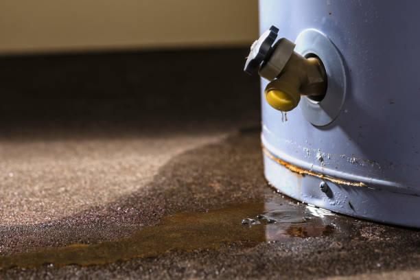 Best Carpet water damage restoration  in Maili, HI