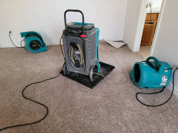 Best Water damage restoration near me  in Maili, HI