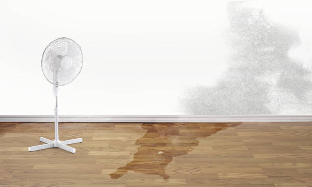 Best Sewage cleanup and water damage restoration  in Maili, HI