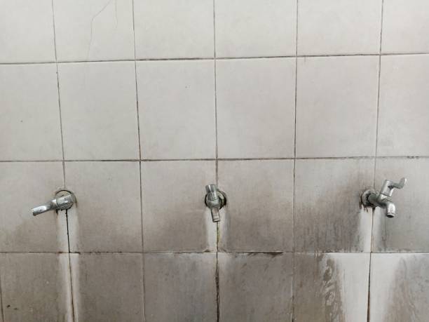 Best 24/7 water damage repair  in Maili, HI