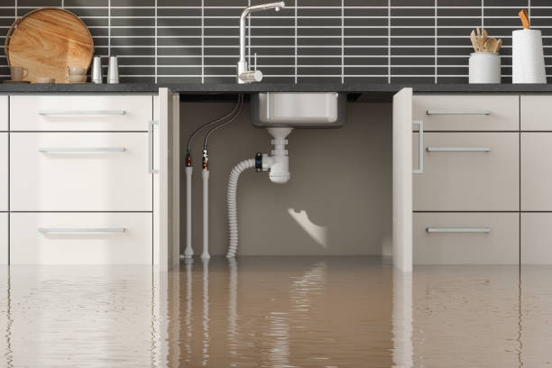 Best Flood restoration services  in Maili, HI