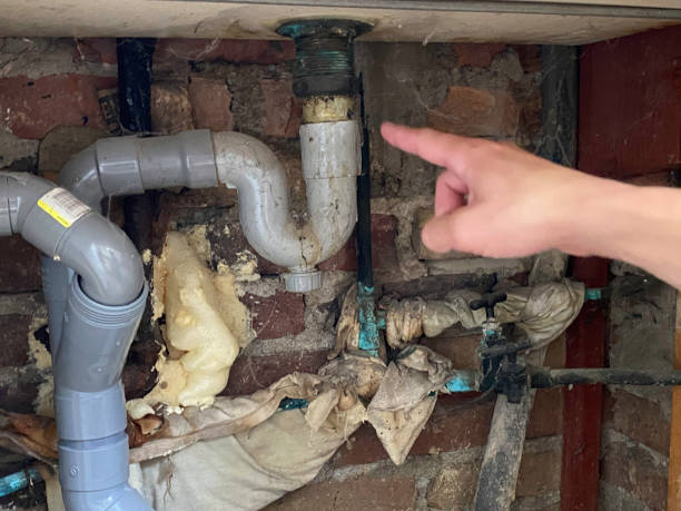 Maili, HI Water damage restoration Company