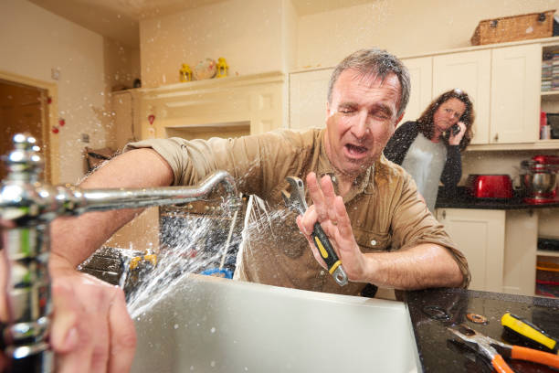 Best Water damage mitigation services  in Maili, HI